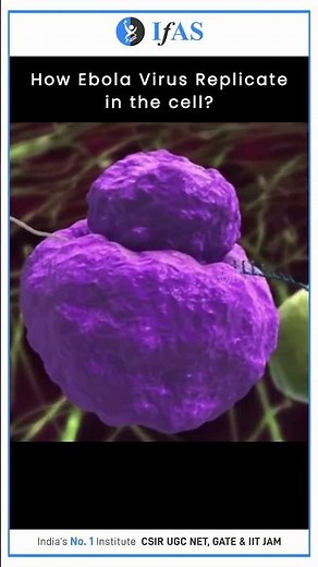 How Ebola Virus Replicate In The Cell #ebola #ebolavirus