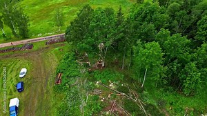 Cutting down the tree, deforestation of European forest logs trunks, aerial