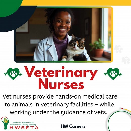 46 reactions · 13 comments | Love animals? Passionate about science and health? A career in the veterinary sector is more than just caring for pets…it’s a diverse sector with many career paths that protect animal and human health. Here’s a look at some of the exciting roles in the sector… #VeterinaryCareers | HWSETA | Facebook