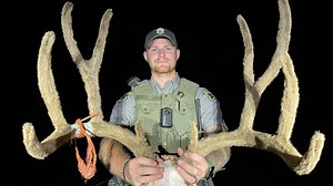 Lemhi man pleads guilty to poaching trophy mule deer