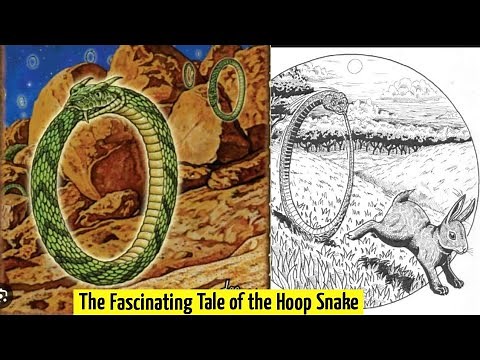 Unraveling the Myth: The Fascinating Tale of the Hoop Snake