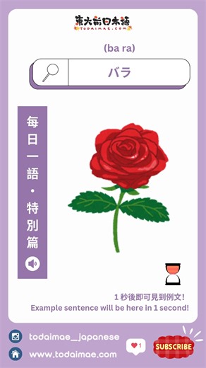 2.3K views · 14 reactions | 【每日一語 - 特別篇】  バラ  意思：玫瑰 / rose...