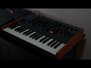 Two Arp1601 Clones Triggering MFB Dominion 1