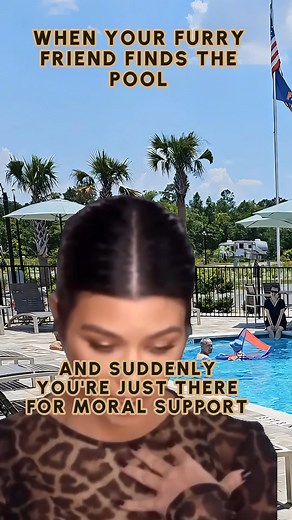 When your pet’s excitement is real! Our pet-friendly services mean your furry friends enjoy vacation just as much as you do. Dive into fun with your whole family—tails included! https://api.alkai.ai/qf6pgz?asrc=fbp #PetFriendly #RVResort #FamilyVacation #PoolsideFun #SantaFePalms | Santa Fe Palms RV Resort | Facebook