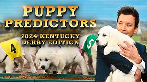 Tonight Show Puppy Predictors: Kentucky Derby Edition! 🐎 | The Tonight Show Starring Jimmy Fallon