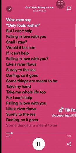 Can't Help Falling In Love - Elvis Presley (06) Lyrics Video
