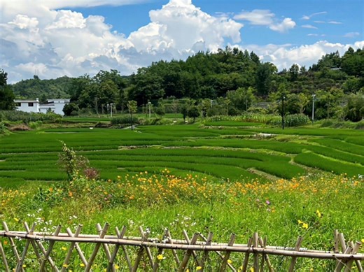 【戴老师】十佳精品课程：WOFOST模型与PCSE模型实践技术应用