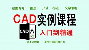 Auto CAD 实战视频教程133节完整版（零基础入门到精通）树上鸟教育 电脑百科林老师 机械设计 模具设计