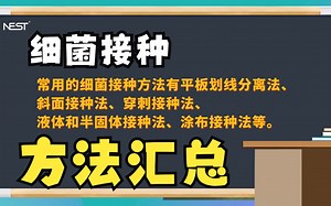 实验解决方案 | 细菌接种方法汇总一览