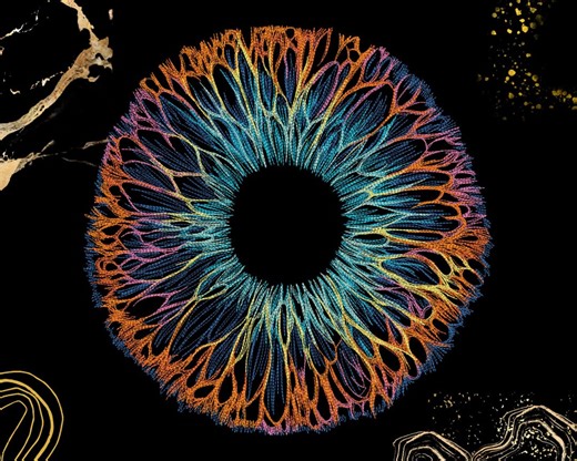 Eye Iris Embroidery Design | Colorful Abstract Eye Pattern | Machine Embroidery for Jackets Patches | Dst Exp Pes Pec Vp3 | Psychedelic Art - Etsy