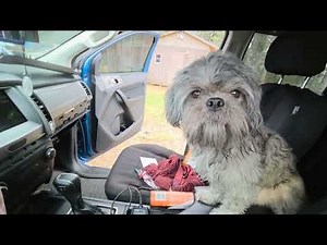 Rats Mom's new Ranger! 3 (Stereo unit removal)