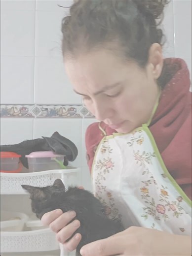 Her eye hasn't stabilised yet after the tarsorrhaphy. And the ringworm is getting so much worse. The vet said it will get worse before it gets better. I hope so 😔🙏🏻 #adoptdontshop #rescuecat #cattok #animalcare #vettips