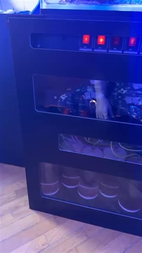 Cabinet for electronics and dosing pump #reefporn #reef #nanoreeftank #nanoreef #fishtank #aquarium #aquariumhobby #reeftank #acquario #sump #aquascaping #marino #reeflovers #reefgirl #reeftek #corals #phytoplankton #zooplancton #coralreeftank #reefbuilders #reefcommunity #reefkeeping #reefaquarium #reefaddicts #saltwateraquarium #marineaquarium #reefsofinstagram #aquariumlife #underwaterworld #oceanlife | ReefTek