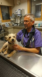 4.5K views · 27 reactions | Everyone in the room held their breath as...