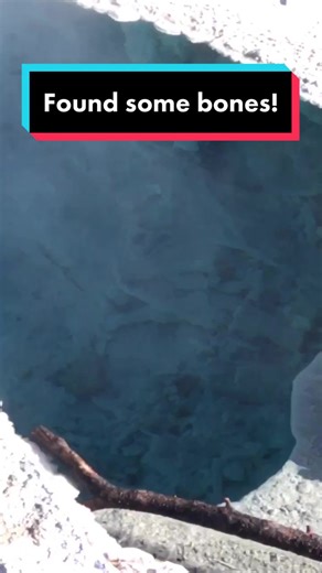 Mysterious Bones Found in Yellowstone Hot Spring