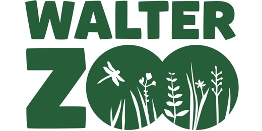 Coordinator Center for Species Survival (CSS) Fireflies | Naturschutz.ch