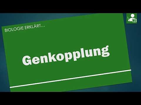 Genkopplung und 3. Mendelsche Regel