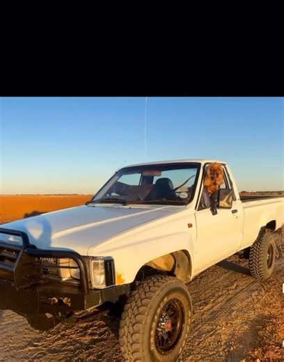 Toyota Hilux 2.2 4y sfa 1989 Rebuilding process.