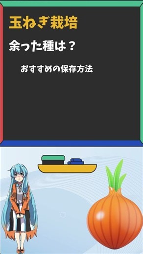 玉ねぎ栽培、余った種は？＃玉ねぎ栽培 #雨晴はう #家庭菜園