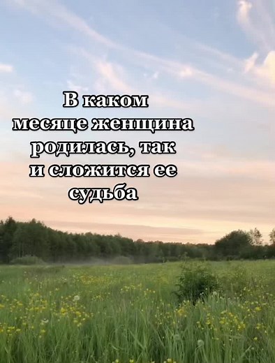 Serene Spring Landscape with Tall Grass and Wildflowers