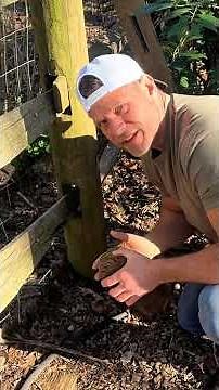 If your fence post is leaning, cracked, or completely broken, this fence repair kit with heavy duty