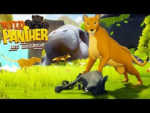 Wild Panther Animal Simulator - Android Gameplay