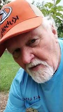 Easy Trick to Save Your Fruit Trees From Rabbits