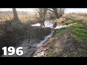 Two Beaver Dams - Beaver Dams Removal With Excavator No.196