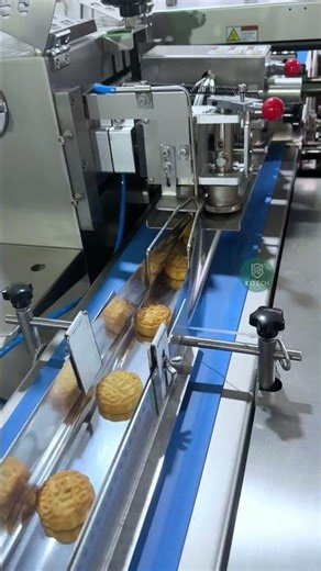Automatic Biscuit Feeding & Packaging Line | Smooth, High-Speed Flow