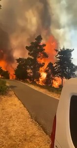 9 канал/Channel 9 Israel/ ערוץ 9 on Reels