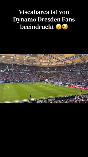 Viscabarça: Dynamo Dresden Fans Share Their Impressions