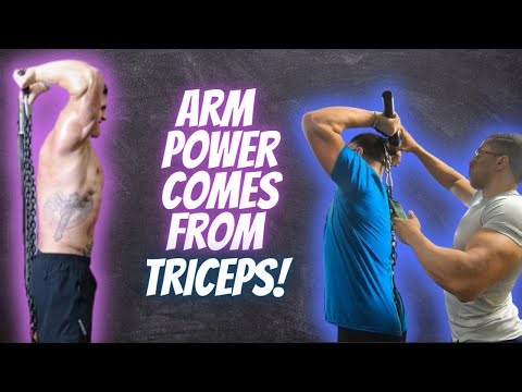 Every Single Tricep Exercise on the Isochain!