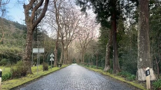 Between volcanoes 🌋 a magia dos Açores ❤️#guide #travelling #tripportugal #tourism #guidelife #trip #tripeuropa #motorbiketours #traveling #açoresislands | ZP Travel Portugal