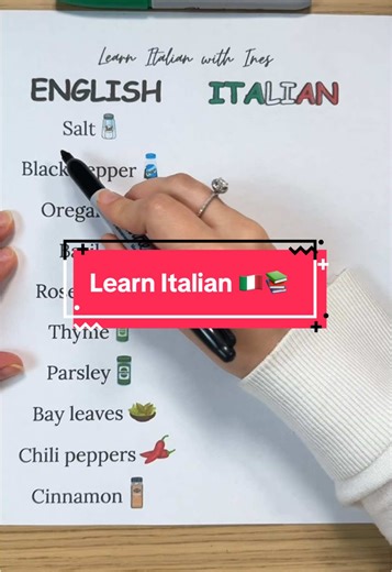 Learn Italian: Master the Basics and Pronunciation