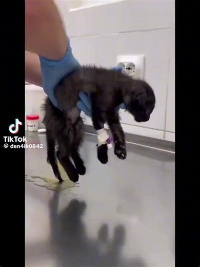 GEAN🤙⚽️ (@arturgean3)’s videos with sunet original - GEAN🤙⚽️