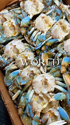 Enjoy Fresh Seafood at Rose's Seafood in Seabrook, TX