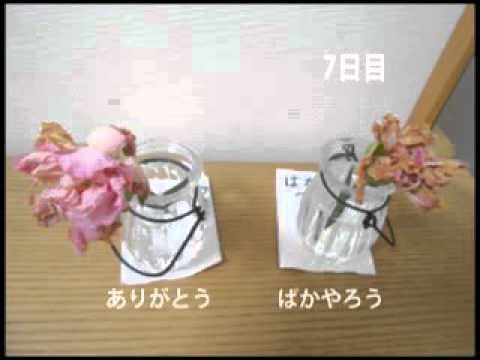 魔法の言葉「ありがとう」