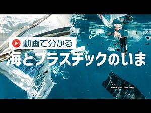 海とプラスチックのいま