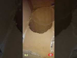 Apesss.. Vortex Finder Cyclone Boiler CFB Terjatuhhhh - PLTU