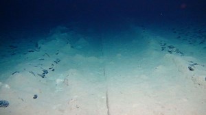 The unseen man-made 'tracks' on the deep ocean floor