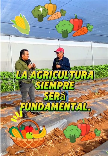 🌾 La agricultura siempre será fundamental. Porque sigue siendo la actividad primaria que sostiene a toda la sociedad. 👨‍🌾 Desde la producción de granos y forrajes para alimentar al ganado, hasta la cosecha de hortalizas y frutas que llegan directamente a nuestra mesa, el campo seguirá siendo indispensable. 💡 Su reflexión nos recuerda algo esencial: 🍽️ Sin agricultura, no hay alimentos. También comparte una postura importante sobre la realidad actual en México: ⚠️ Las políticas gubernamental