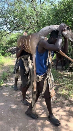 Incredible Moment: Hadzabe Tribe Hunts and Captures an Antelope in the Wild