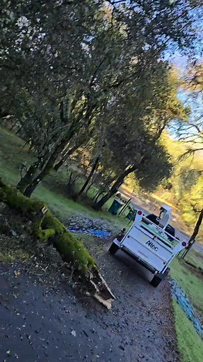 # cleaning up service # | Diaz brothers tree service & landcaping | Facebook