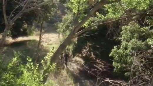 4.4K views · 252 reactions | Starfleet Records. United Earth starships: Enterprise (NX-01). History: However, the machine malfunctioned a number of times before the initial bugs were worked out. Most of the crew was initially hesitant to use the transporter, its use became more widespread during Enterprise' third and especially fourth year in space. Sources: ENT: "Strange New World", "Vanishing Point"... Star Trek. Live the experience. | Starfleet Command | Facebook