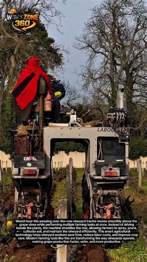 Smart Vineyard Tractor That Works Over the Row 🍇🚜 #farming #vineyard #agriculture
