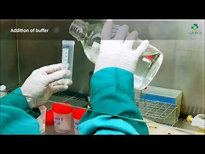 Antimicrobial Efficacy Testing | Estudio de eficacia antimicrobiana