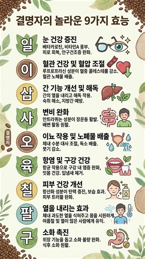 결명자 효능 9가지, 매일 마시면 나타나는 놀라운 변화!