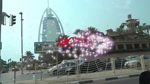 Motec Song | CARS 4 UAE