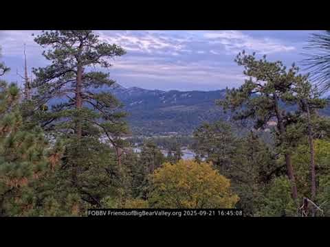 ADULT EAGLE’S AFTERNOON VOCALS 💖🦅 CAM 2 | FOBBV SEPT. 21, 2025