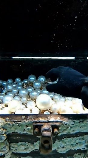 Finding a Chest Full of Pearls Underwater”